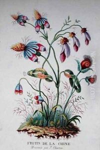 Fruits of China by Charton, J.