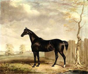 Gypsy, A Black Horse in a Landscape