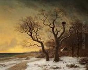 Winter's Day, North Sealand