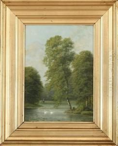 Woodland Scene Woodland Scene