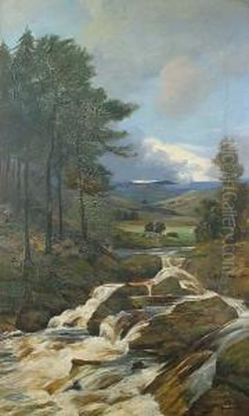 Extensive River Landscape - view 1