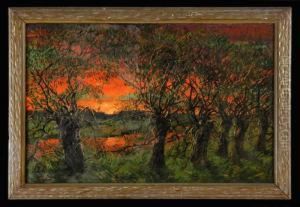 Flaming Sky