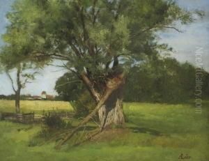 Sommerlandschaft Mit
Weide. by Adolf Heinrich Lier
