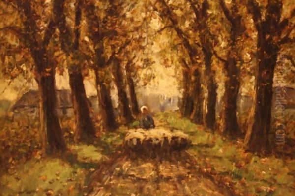 Schafer In Einer Allee - view 1