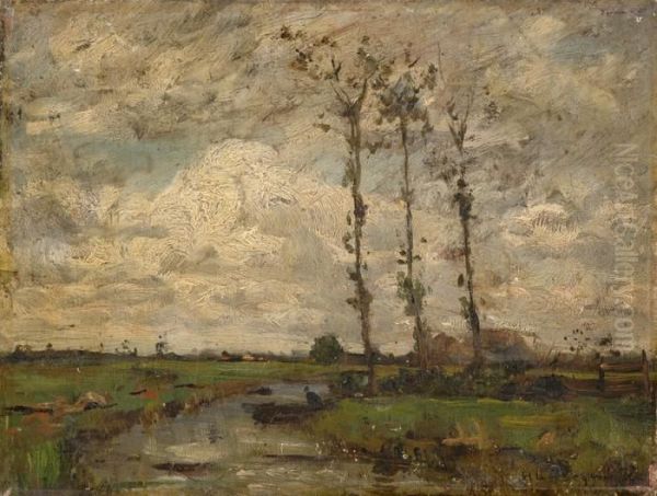 Fluslandschaft (niers) Am Niederrhein. - view 1