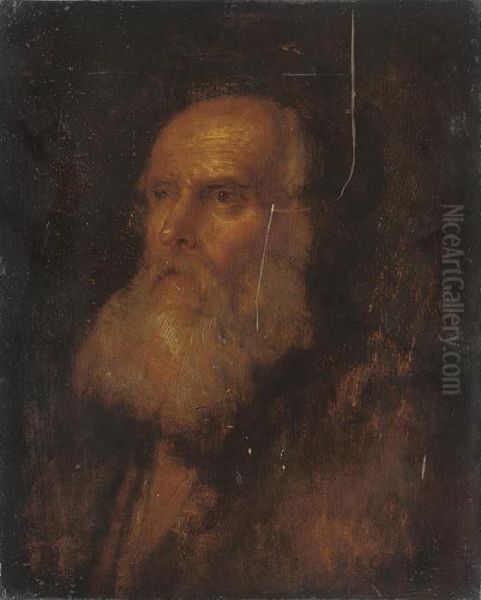 Head Of A Bearded Man - view 1