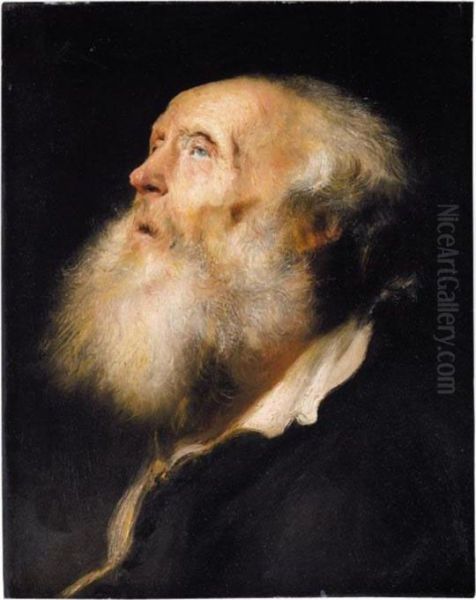 Study Of An Old Man, Head And Shoulders - view 1