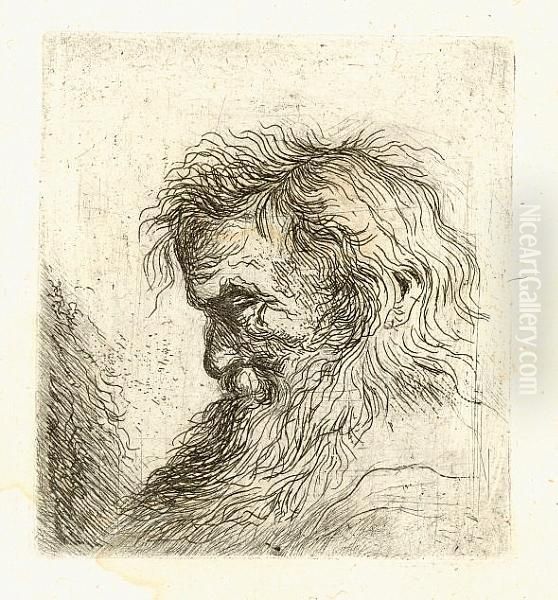 Head Of An Old Man In Profile To The Left (bartsch 40) - view 1