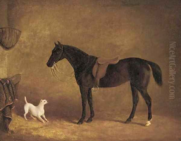 A black hunter and a dog in a stable - view 1