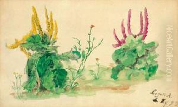Wild Flowers - view 1