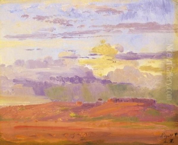 Cloudy Landscape - view 1