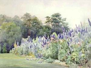 Delphinium Pier Point by Helen Crofton
