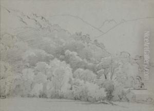 Paysage Et Foret