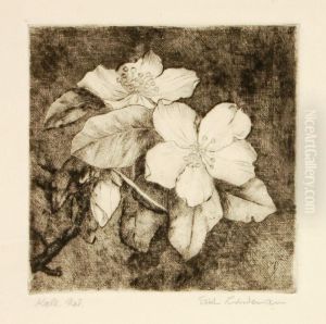 Kirschbluten/lilienblute Kirschbluten/lilienblute