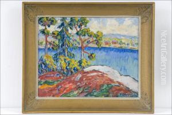 Heinakuunpaiva - Julidag - view 1