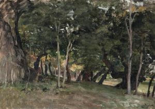 Theforest - view 1