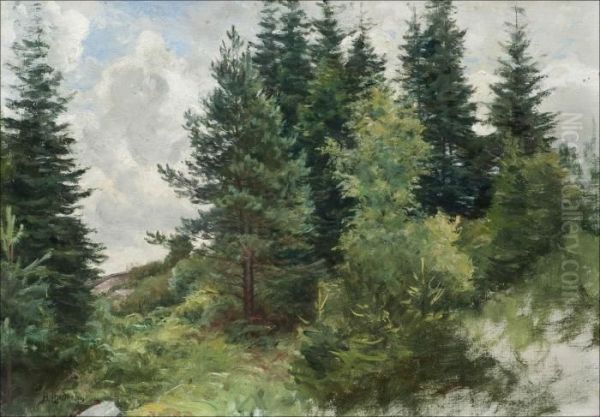 Metsanrinne - view 1