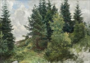Metsanrinne Metsanrinne