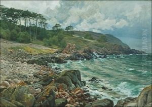 Shore (view From Arild Shore (view From Arild