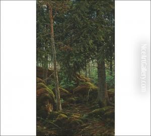Forest Interior Forest Interior