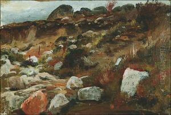 Rocky Slope - view 1