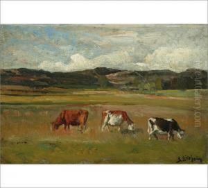 Cows In A Field Cows In A Field