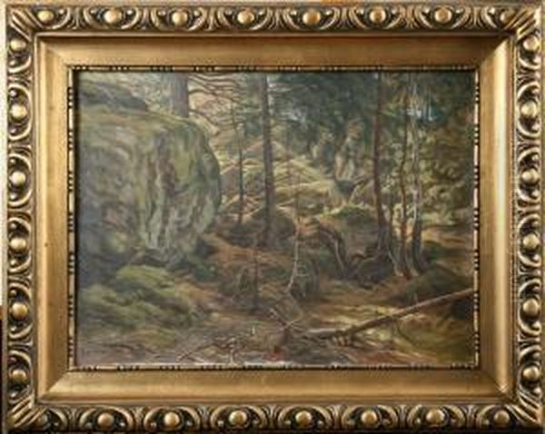 Skogslandskap - view 1