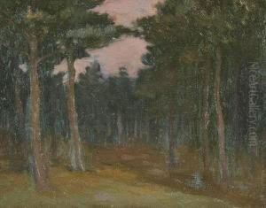 Carl Olof Lindin . by Carl Olaf Eric Lindin
