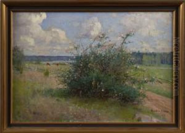 Landskap - view 1