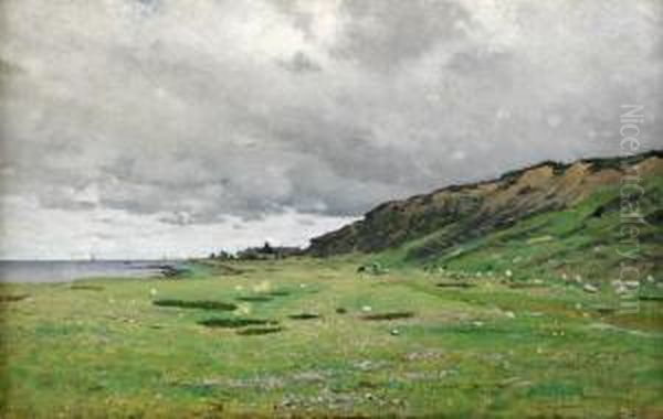 Kustlandskap - view 1