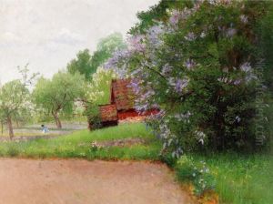Sommarlandskap Med Blommande Syrener