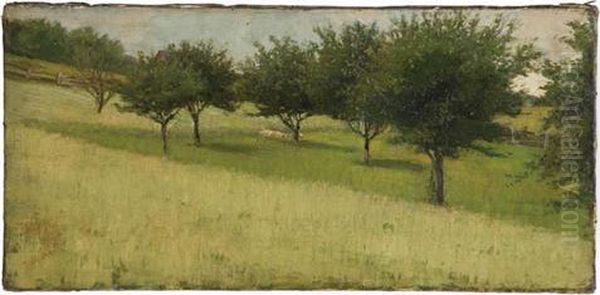 Orchard - view 1