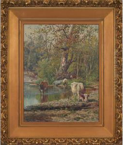 Cows Wading - view 1