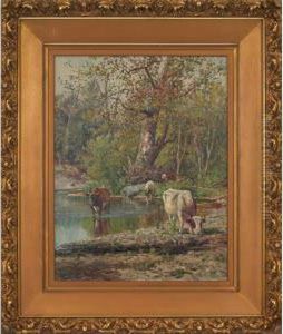 Cows Wading Cows Wading