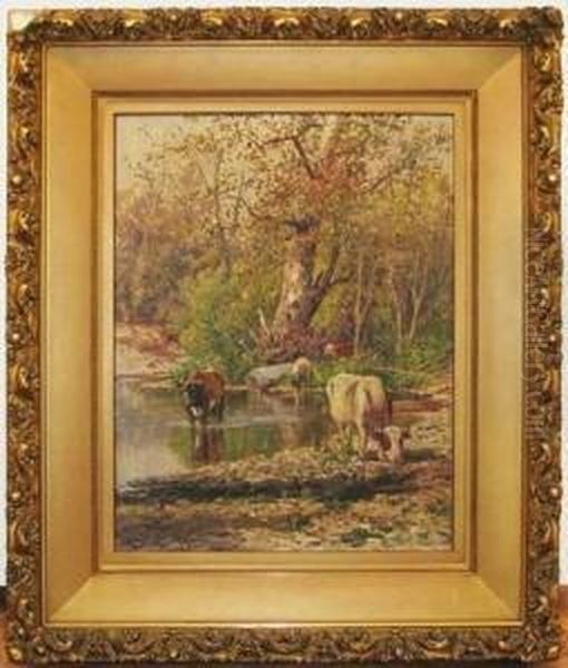 Cows Grazing In An Stream - view 1