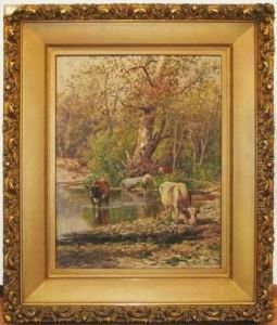 Cows Grazing In An Stream