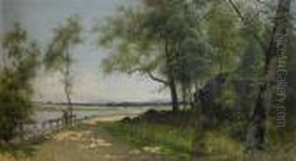 Sommarlandskap Med Vag Vid Vatten - view 1