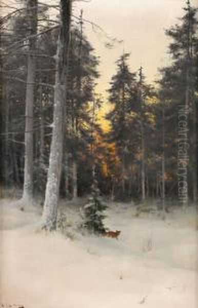 Rav I Vinterlandskap - view 1