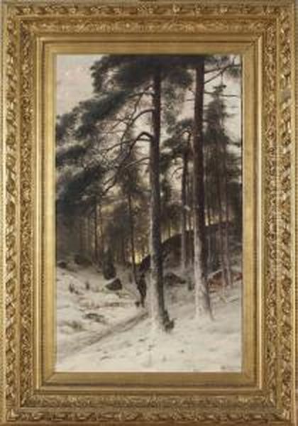 Jagare I Vinterskog - view 1