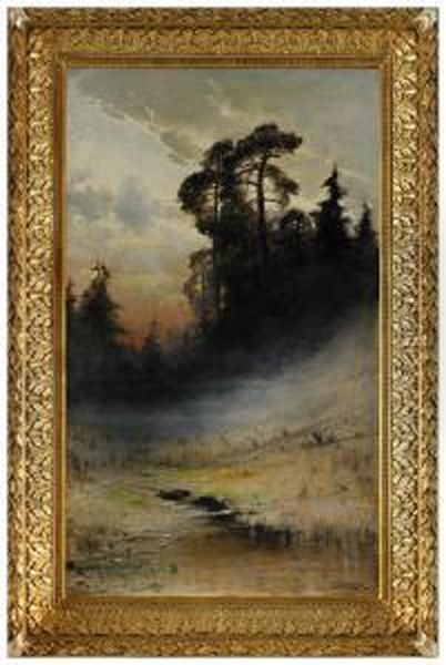 Dimma I Skog - view 1