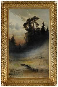 Dimma I Skog Dimma I Skog