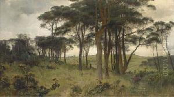Wooded Landscape - view 1