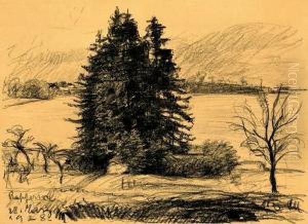 Uferlandschaft Bei Rapperswil - view 1