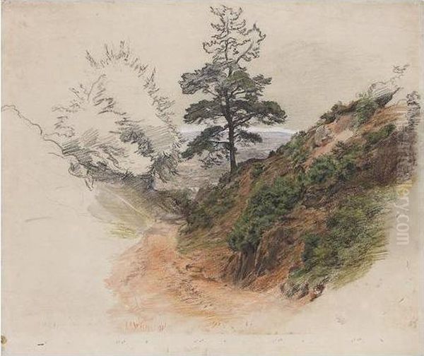 Sevenoaks - view 1