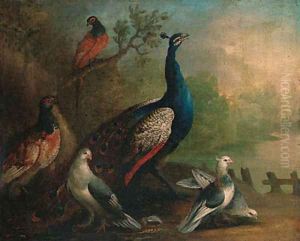 A Peacock, Doves and Pheasants by a Lake