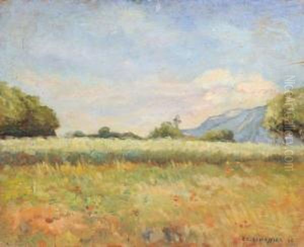 Paysage - view 1