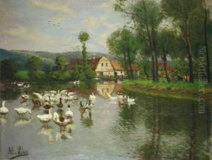 Ganse Auf Dem Weiher.
