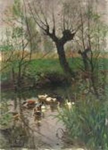 Entenschar Auf Einem Teich