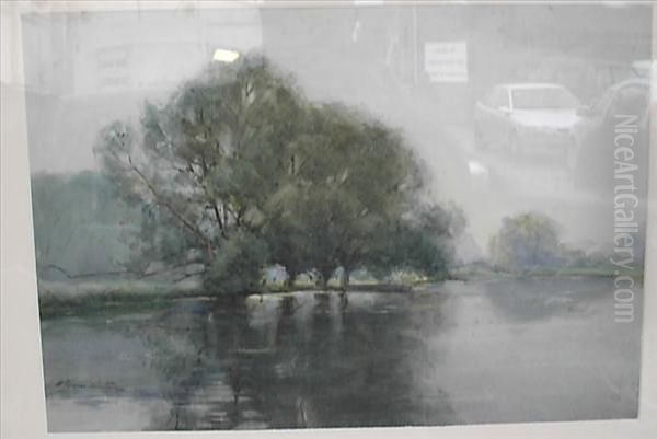 Trees By A River - view 1
