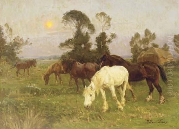 Horses In A Pasture At Dawn - view 1
